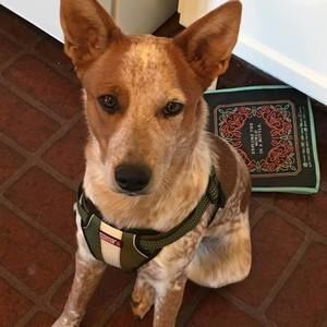 Meet your Posher, Kimberly